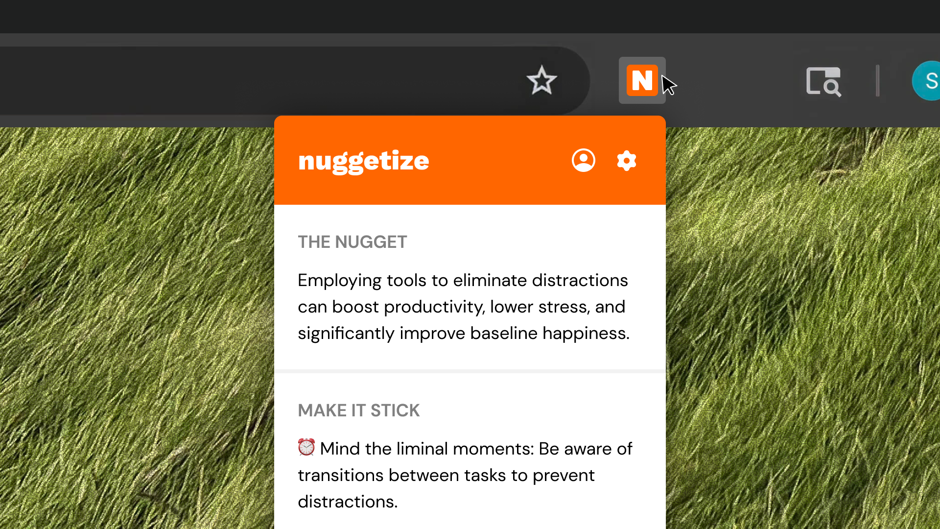 Nuggetize Extension